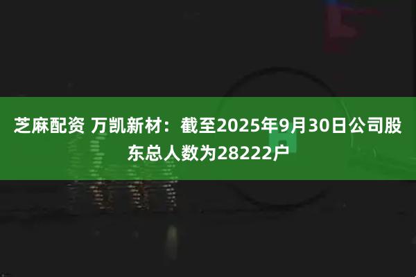 芝麻配资 万凯新材：截至2025年9月30日公司股东总人数为28222户