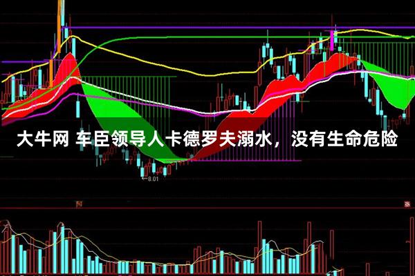 大牛网 车臣领导人卡德罗夫溺水，没有生命危险